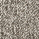 J556 Umber